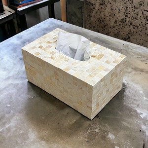 <b>Mother</b> of Pearl Tissue Box Holder for Tabletop Desk Jewelry Makeup Bathroom Living Room Decorative and Gift Use From India - Product Image 2