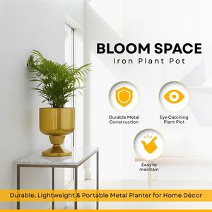 Jardinière en fer de qualité supérieure, finition dorée, pour la décoration intérieure et extérieure, exportation mondiale depuis l'Inde - Product Image 3