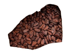 Hữu cơ cao cấp chất lượng rang nguyên hạt ca cao bán buôn khô CACAO với Hữu Cơ giấy chứng nhận - Product Image 3