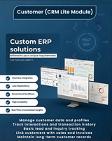 Programación y Desarrollo ERP SaaS, Software Modular MVP para Datos y Análisis en Tiempo Real, Software SaaS