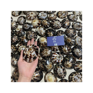 TENDENCIA ACTUAL Concha de Limpet para Manualidades y Decoración del Hogar con Forma Única, Superficie Limpia y Apariencia Atractiva - Product Image 1