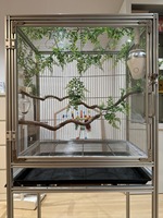 Cages d'élevage d'extérieur modernes pour grandes maisons Cage à oiseaux de conception d'habitat à vendre