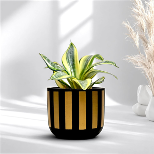 Maceta de Terracota Artesanal con Rayas Negras y Doradas, Maceta Decorativa de Lujo con Orificio de Drenaje para Interiores - Product Image 1