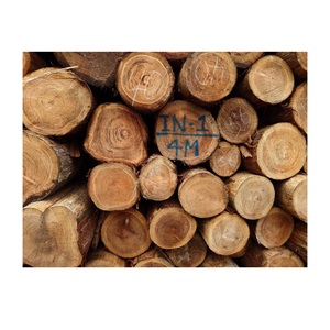 Meilleures ventes de bois de cèdre brut de luxe, bois de cèdre original pour la construction de maisons - Product Image 1