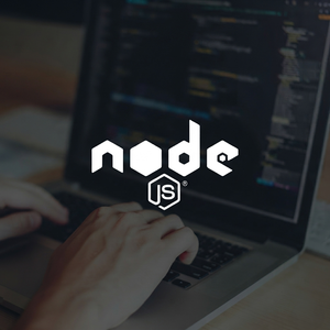 ระบบขยายการถ่ายทอดข้อมูลสำหรับนักพัฒนา Node.js ระดับสูงของ UNIVENTURE และเฟรมเวิร์กแบ็คเอนด์ที่กำหนดเป้าหมายสำหรับธุรกิจ - Product Image 5