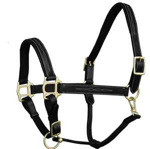 High Quality Handmade Polo Leather Horse Halter English Saddle Style Show All-Purpose Use Customizable Brass Hardware Customized - Product Image 4