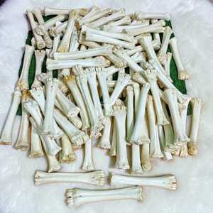 Medio tubo de hueso de búfalo blanco natural, artesanía tradicional y suministro vikingo a precio económico. - Product Image 1