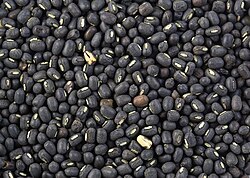 Whole Black <b>Beans</b> High Protein Fiber Rich for Daily Cooking <b>Baking</b> Snacks High Protein Fiber Rich Black Gram Lentils Urad Dal - Product Image 2
