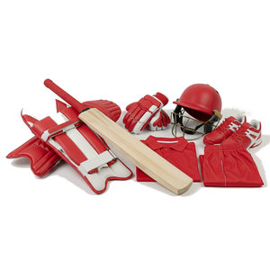 <b>Practice</b> Gear Lightweight Cricket Playing Kit Batting <b>Pads</b> Gloves Helmet Storage Bag 2026 - Product Image 1