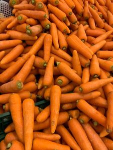 Légume biologique frais, nettoyé et lavé à l'eau, orange et carotte, à forte teneur en jus, brillant et sucré, produit agricole, qualité export en vrac - Product Image 1