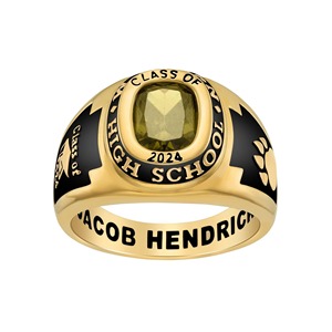 <b>Personalized</b> 925 Sterling Silver Class Ring Graduation School College Ring Custom Birthstone Student Celebration Ring - Product Image 2