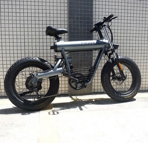 NUEVO EN STOCK Bicicleta Eléctrica de Largo Alcance con Doble Batería para Repartidores - Product Image 3