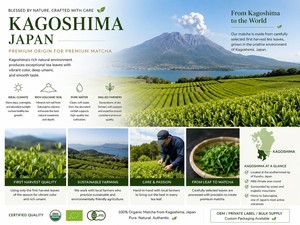 ชาเขียวมัทฉะออร์แกนิกคุณภาพพรีเมียม น้ำหนัก 1 กก. ผลิตแบบ OEM คุณภาพเยี่ยมจากคากอชิมะ คัดสรรใบชาคุณภาพจากเก็บเกี่ยวครั้งแรก ชาเขียวญี่ปุ่นสำหรับพิธีชงชา - Product Image 6