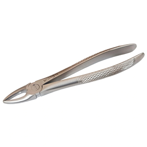 Pinzas de Molares Superiores Rectas, Tipo Figura 29, de Acero Inoxidable, para Extracción Dental, Instrumento Quirúrgico - Product Image 3