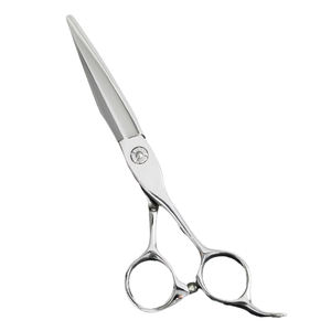 Tijeras de Peluquería Profesionales para Cortar el Cabello, Acero Inoxidable VG10, Tijeras de Peluquero con Punta Redonda para Diestros, Herramienta de Estilismo - Product Image 1