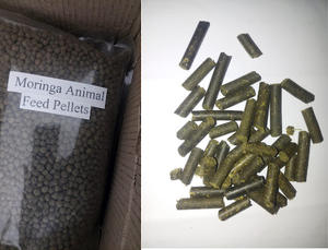 อาหารสัตว์คุณภาพเยี่ยม เม็ดมะรุม สำหรับส่งออกไปทุกประเทศจากอินเดีย ในราคาถูกที่สุด - Product Image 6