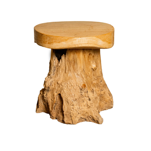 ARTERRA Premium Teak Root Mushroom <b>Stool</b>-Durable Rustic Design for Hotel Apartment & Warehouse Use - Product Image 1