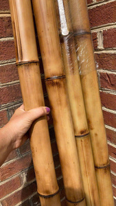 Poteaux en bambou robustes pour les échafaudages de construction et les projets extérieurs - Product Image 6