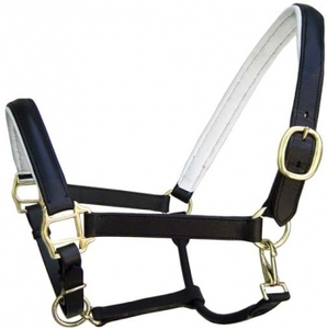 Cabezalera de cuero premium para caballo con acolchado de cuero suave de color y herrajes de hierro, zinc o latón, fabricante de la India. - Product Image 4