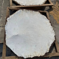 Factory Professional Customized 10''-22 Silent Mute Mesh Drum Head White Rawhide Drum Head Durable Natural Animal Hide for Drum