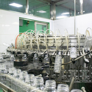 Agua de Coco Natural de Bajo MOQ en Botella PET de 1.25L Lista para Beber, Fabricante OEM ODM, Muestra Gratuita, Marca Privada - Product Image 5