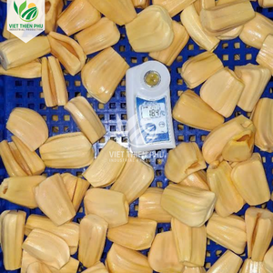 VIET THIEN PHU |   JACKFRUIT CONGELÉ DE QUALITÉ EXPORT PREMIUM DU VIETNAM - Product Image 5