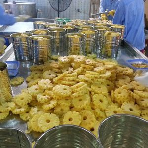 Ananas frais en tranches en conserve, best-seller, en sirop, morceaux d'ananas conservés, ananas en conserve en gros - Product Image 6