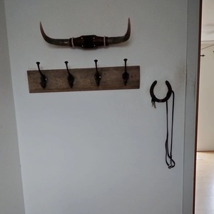 Ensemble de cornes de bœuf montées, écologiques, faites à la main, rustiques, modernes, polies, thème animalier, style western, pour décoration intérieure, Pâques - Product Image 3