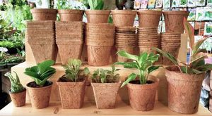 Pot de propagation en fibre de coco naturelle pour l'aération des racines des semis et la culture durable en serre - Product Image 2