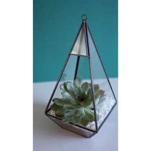 Terrarium en verre géométrique moderne noir avec bordure dorée, décoration de table, accessoire de décoration intérieure pour salon - Product Image 2