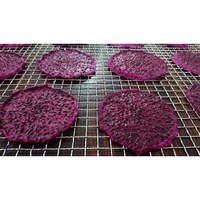 Hoge Kwaliteit Witte Drakenplakjes Olie-Vrije Veilige Gedroogde Pitaya Fruit Thee Fabriek Direct Oem Smaak Opties Landbouwproducten