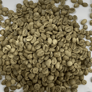 Service d'OEM/ODM en vrac de grains de café vert des grains de café du Vietnam Robusta S18 disponible - Product Image 4