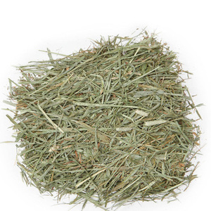 Heno de Timothy Fresco y Seco, Alimento para Mascotas, Proveedor de Pasto, Distribuidor Mayorista, Exportación en Grandes Cantidades - Product Image 1