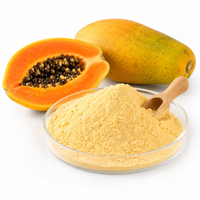 Private Label Papajapoeder Natuurlijk Fruitpoeder Voedingsmiddelenkwaliteit Groothandel Fabriekslevering voor Voedingssupplementmerken