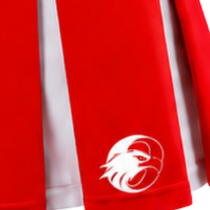 Jupe plissée rouge pour femmes, taille haute, uniforme d'équipe athlétique, performance de danse, entraînement, compétition, vêtements de sport - Product Image 5