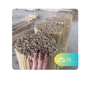 Tuteurs en bambou robustes et durables pour l'agriculture, les cultures et les treillis BLUE LOTUS Gem Le Modern Son La - Product Image 1