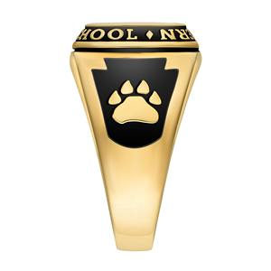 Anillo de Graduación Personalizado de Plata de Ley 925, Anillo Escolar Universitario con Piedra de Nacimiento Personalizada, Anillo de Celebración para Estudiantes - Product Image 3