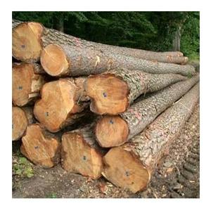 High Quality Timber Sawn Teak Acacia Oak Wood Logs Spruce <b>Pine</b> Eucalyptus C&T FARM LLC USA 2-Year <b>Shelf</b> Life Building Use - Product Image 2
