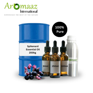 Huile de Spikenard Aromaaz International 5kg, huile essentielle pure, distillée à la vapeur, fabricant d'huile de Spikenard pour l'aromathérapie - Product Image 4