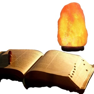 Lampe alimentée par l'énergie solaire en sel rose de l'Himalaya sculpté de haute qualité, écologique, forme naturelle, pour décoration intérieure, avec logo personnalisé - IMPEX PAKISTAN - Product Image 3