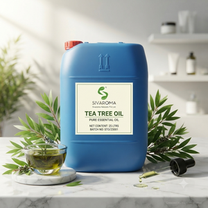 Huile Essentielle Naturelle d'Arbre à Thé pour Soins Personnels Aromatiques, Fabrication de Savons Cosmétiques et Approvisionnement en Gros - Product Image 6