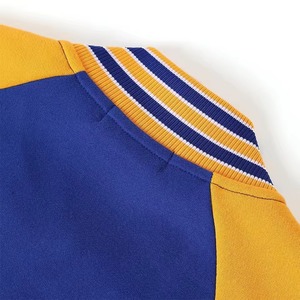 Chaquetas Universitarias de Felpa con Letras Griegas Sigma Gamma Rho, Bordado Chenille Personalizado, Hermandades Griegas - Product Image 4