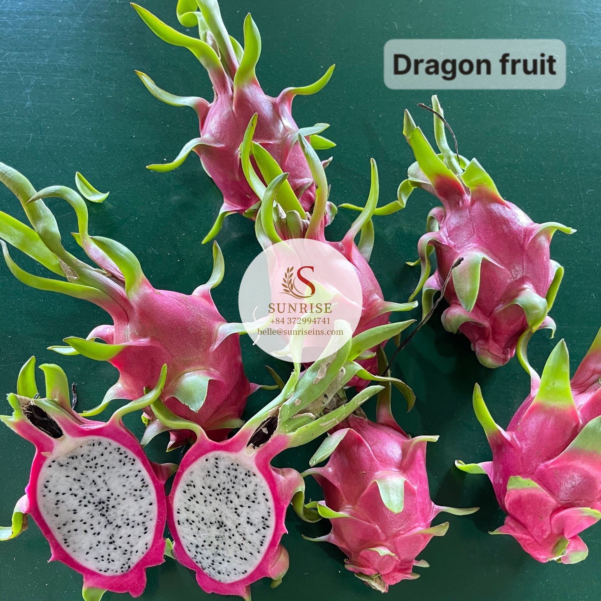 Vietnã fruta do dragão-fruta do dragão fresca-alta qualidade Sunrise marca 0084372994741 Belle exportação de frutas frescas melhor qualidade