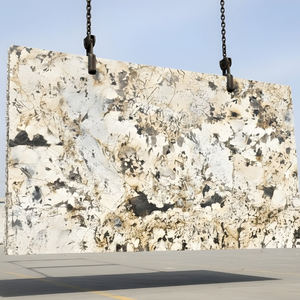 Dalle de granit exotique premium doré pour la décoration murale de cuisines et salles de bain de villas et hôpitaux, export en vrac Inde - Product Image 6