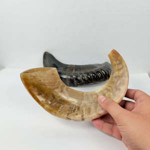 สวดมนต์ราคาที่ดีที่สุด RAM Horn shofar Israel Kosher ยิวยิว yemenite shofar ธรรมชาติ Hashanah Kosher kudu - Product Image 1