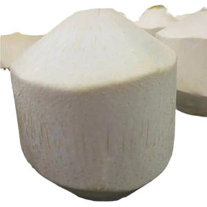 Noix de coco fraîche de haute qualité produit agricole du Vietnam - Product Image 1