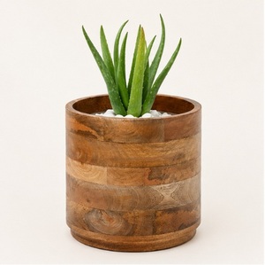 Handmade Mango Wood Succulent Planter <b>Pot</b> Rustic Solid Wood Round Desktop Flower <b>Pot</b> Eco-Friendly Wholesale Wooden Plant <b>Holder</b> - Product Image 5