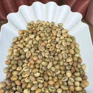 เมล็ดกาแฟโรบัสต้าสีเขียว กระบวนการผลิตสะอาด ความสุกสูง เมล็ดกาแฟเวียดนามทั้งเมล็ด บรรจุภัณฑ์แบบสะอาด 18 กิโลกรัม สำหรับส่งออก - Product Image 3