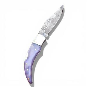 Cuchillo Plegable de Acero de Damasco Hecho a Mano con Mango de Madera Pakka, Borde Biselado, Funda de Cuero, OBM, para Caza y Uso Multifuncional - Product Image 1