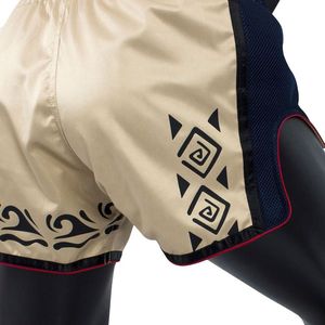 Shorts de Muay Thai Fairtex sur mesure OEM, fabriqués en 100 % polyester, pour l'entraînement, le combat et la compétition en arts martiaux, shorts MMA. - Product Image 2